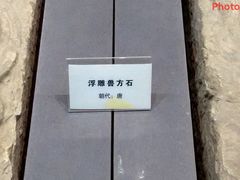 -西安乐游原