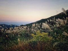 -东白山