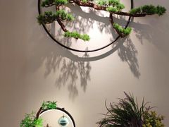 -中和·国风茶馆(愚园路店)