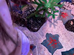 -沈阳海洋探索中心