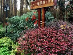 怡沁园度假村-上海怡沁园度假酒店