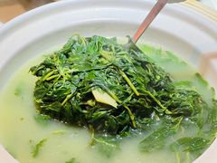 上汤枸杞苗-滨少旺厨(惠福西路店)