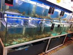 水产区-船梆煮•蒸汽海鲜·炉火烤肉(五四广场店)