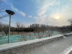 -大兴滨河森林公园