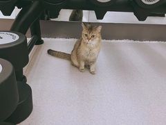 -山之尖健身