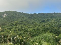 -海南铜鼓岭景区