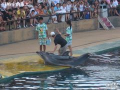 -秦皇岛乐岛海洋王国