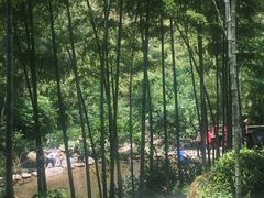 -山沟沟景区