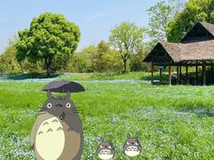 -西溪国家湿地公园