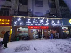 -老东北三江野生大鱼坊(登封店)