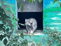 -青藏高原野生动物园