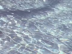 -九龙公园