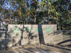 -云碧峰国家森林公园