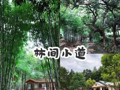 -林丰温泉度假山庄