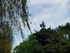 -黑龙江省森林植物园