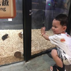 -酷嗒动物文化乐园(cutezoo西溪乐天城店)