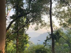 -大屏嶂森林公园