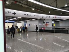 -东方体育中心(地铁站)