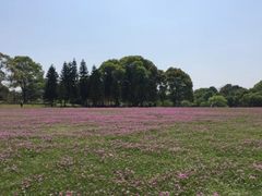 -福建鲤鱼洲酒店