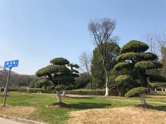 -南京市江宁方山