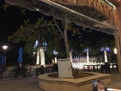 -喷泉广场餐厅·宵夜·海鲜烧烤大排档(长隆企鹅酒店)