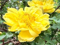 -北京市劳动人民文化宫(太庙)