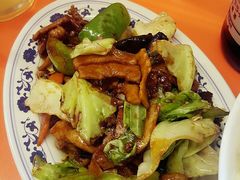 -拉面莊夢語＆中华料理八椿