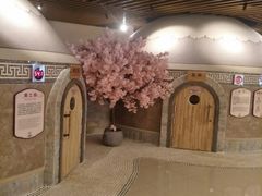 -汤连得温泉馆(宝山店)