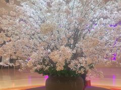 -苏州香格里拉大酒店