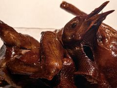 -侨美·唐荔园·40年地道粤菜