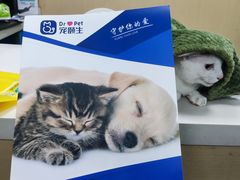 -宠颐生猫科·内科皮肤科(西平世纪城店)