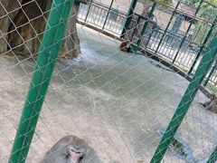 -揭东万竹园旅游景区