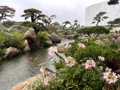 -罗红摄影艺术馆