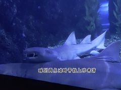 -台州海洋世界