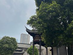 -龙潭水乡