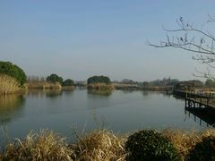 -梁鸿国家湿地公园