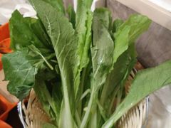 -小窝头炭火铜锅