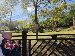 -泉州海丝野生动物世界