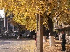 -四川大学(华西校区)