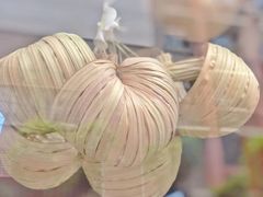 -新白鹿餐厅(嘉兴八佰伴华府店)