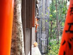 -上野公园花园稻荷神社(忍岡稲荷神社)