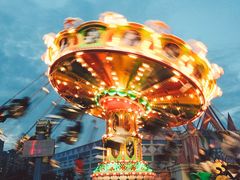 -锦江乐园舞狸花花游园会(夜场专享)