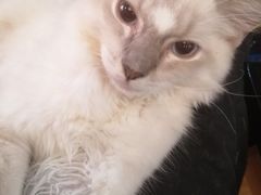 -万小咖.猫咖(中山路天虹店)