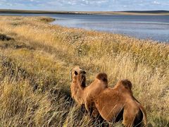 -呼和诺尔旅游景区