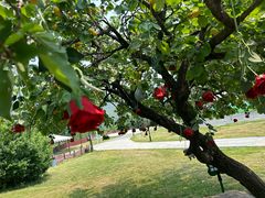 -潭柘厚院(桑峪村店)