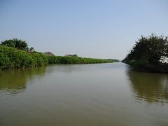 -大湾区中央湿地公园