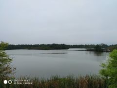 -大湾区中央湿地公园