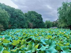 -丝绸小镇荻港古村