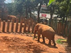 -昆明动物园