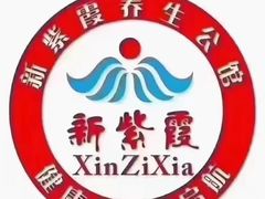 -新紫霞养生·影院足道·SPA(金山区店)